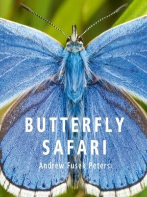 cover image of Butterfly Safari
